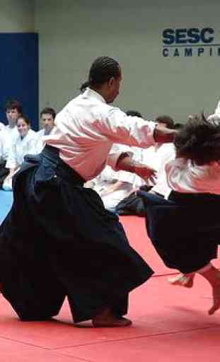 La pratique de l'Aikido 3
