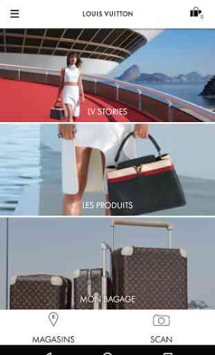 Louis Vuitton Pass 1