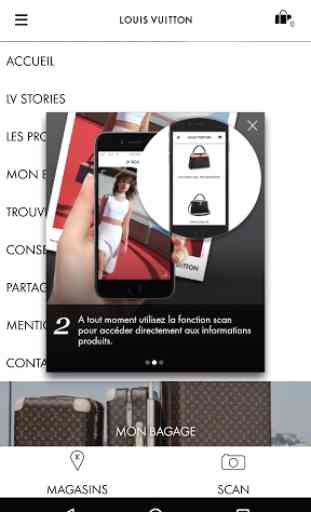 Louis Vuitton Pass 3