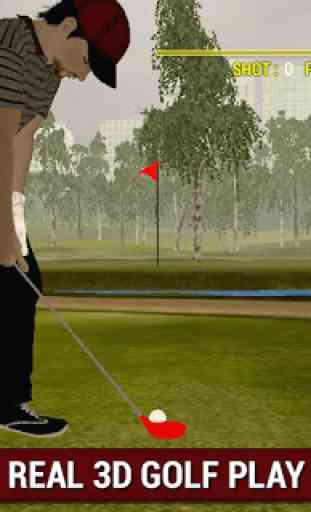 Professional Golf Lecture 3D 1