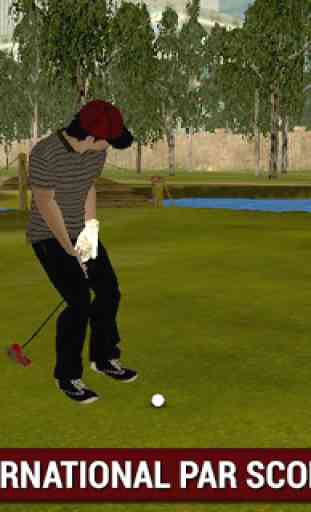 Professional Golf Lecture 3D 2
