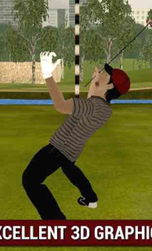 Professional Golf Lecture 3D 3
