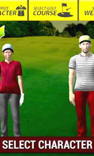 Professional Golf Lecture 3D 4