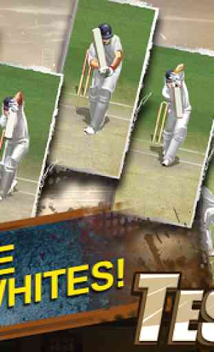 Real Cricket™ Test Match 3