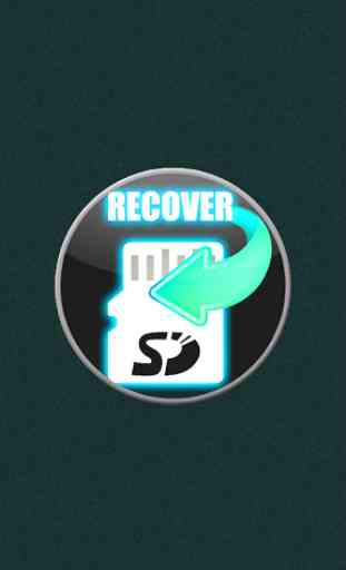 SDCard Recovery File 2