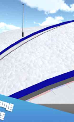 Sochi Ski Jumping 3D Sport VIP 2