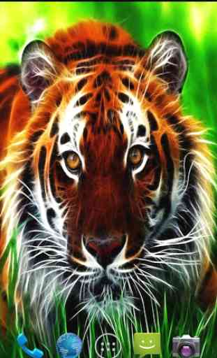 Tiger Wallpapers 4