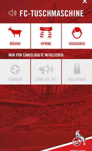 1. FC Köln App 3