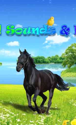 Animal Sounds&Photos for Kids 1