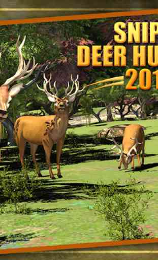 Deer Hunting 1