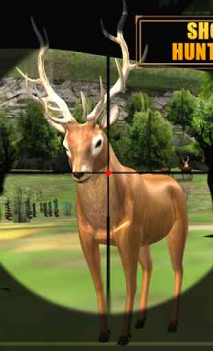 Deer Hunting 3