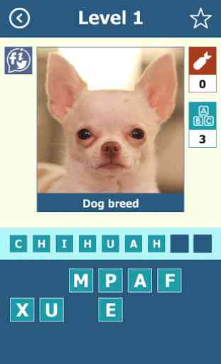 Dog Breeds: Quiz 2