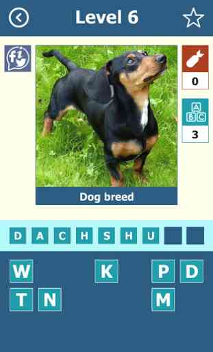 Dog Breeds: Quiz 3