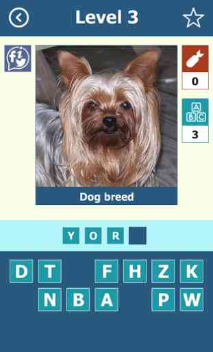 Dog Breeds: Quiz 4
