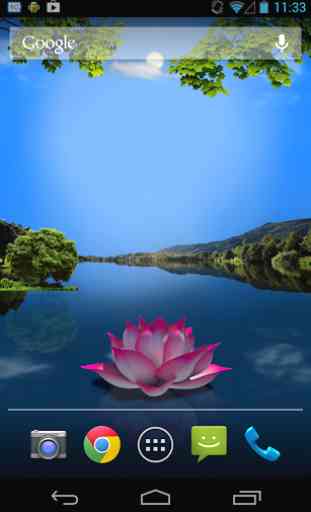 Exotic Lotus HD Live wallpaper 2