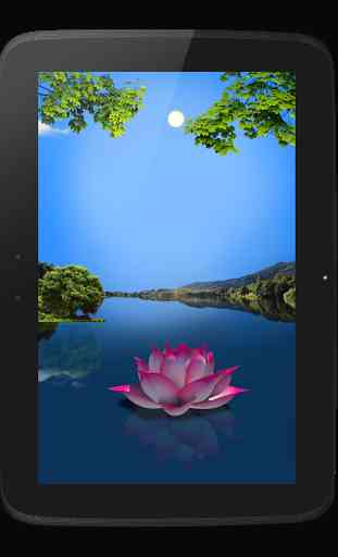 Exotic Lotus HD Live wallpaper 3