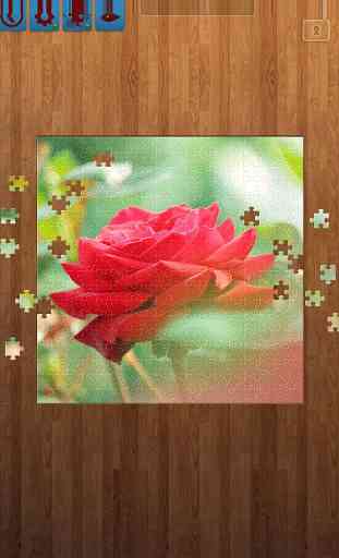 Fleur Puzzle 1