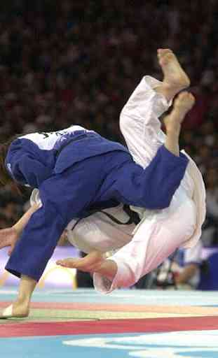 Judo leçons 2