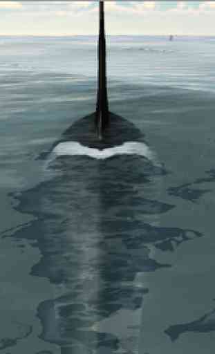 Orca Whale Simulator 3D 2