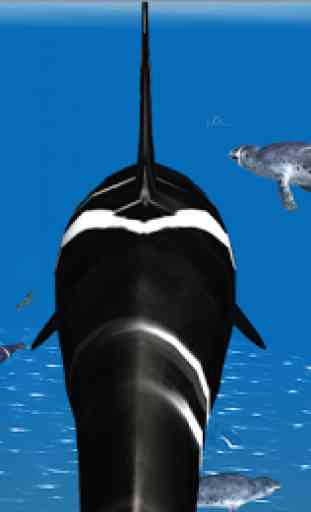 Orca Whale Simulator 3D 3