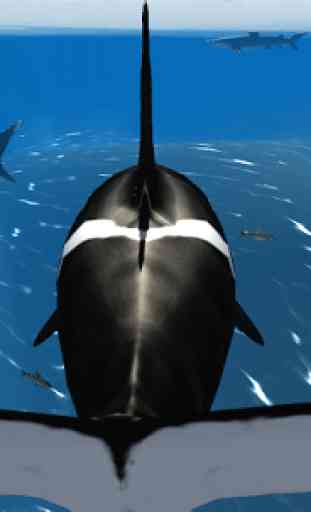 Orca Whale Simulator 3D 4