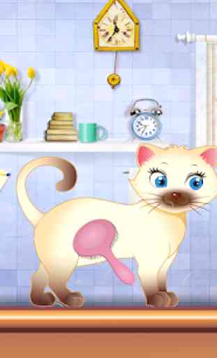 Salon de toilettage pour chats 4