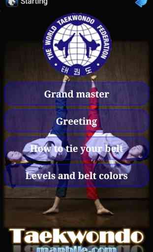 Taekwondo WTF 3