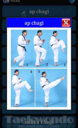 Taekwondo WTF 4