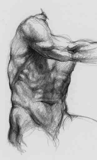 Anatomie 3D pour l'artiste | P 2