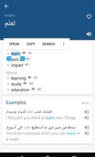 Arabic English Dictionary 2