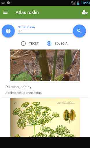 Atlas roślin polskich 4