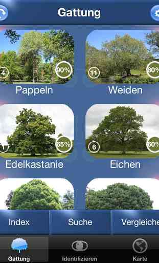 Baum Id - Deutschlands Bäume 1