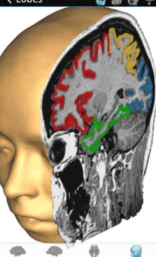 Brain Tutor 3D 2