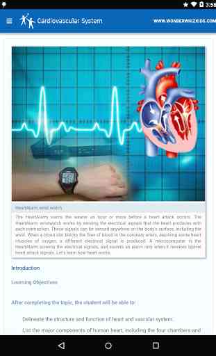 Cardiovascular System 3