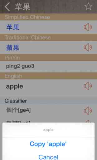 Chinese English Dictionary 3