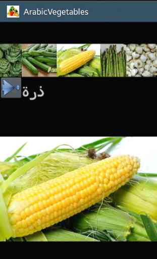 fruits et legumes en arabe 3