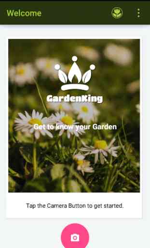 GardenKing 1