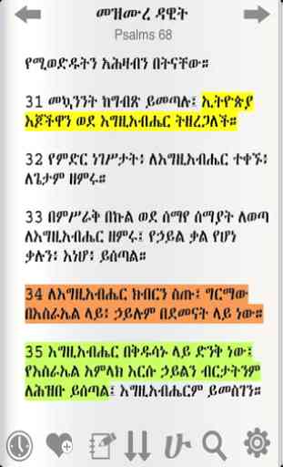Holy Bible In Amharic 4