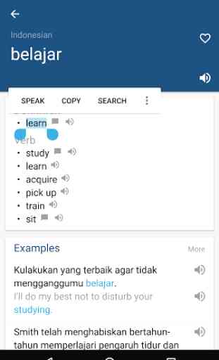 Indonesian English Dictionary 2
