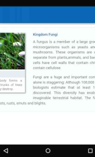 Kingdom Fungi 2