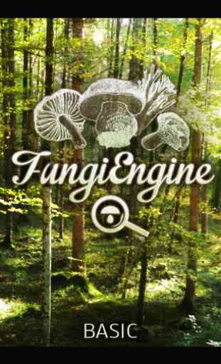 Mushroom / Fungi Engine 1