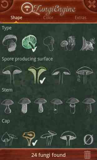 Mushroom / Fungi Engine 3