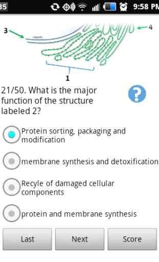 Cell Biology-101 3