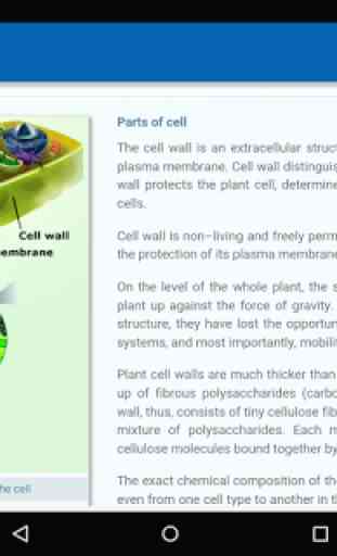 Cell Structure 2