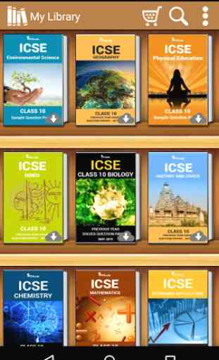 ICSE Class 9 & 10 Solved Paper 2