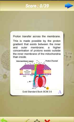MCAT Biochemistry Flashcards 1