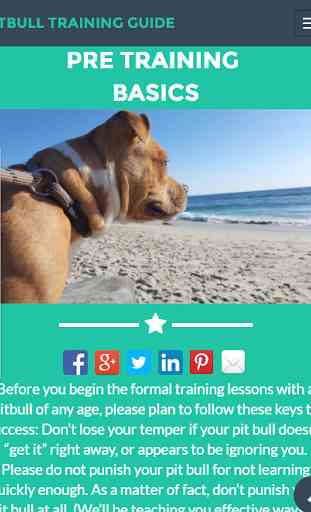 Pit Bull Training Guide 1