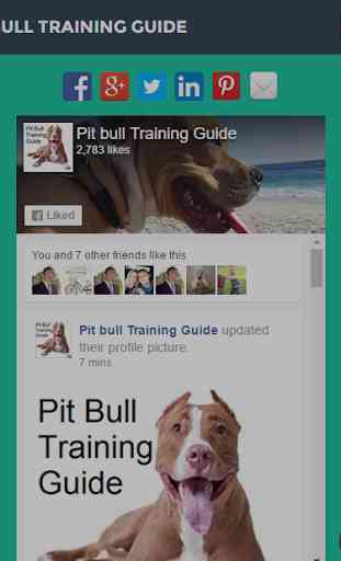 Pit Bull Training Guide 2