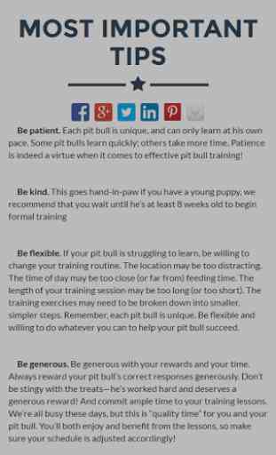 Pit Bull Training Guide 3