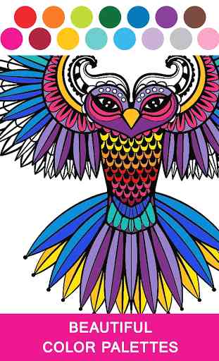 Adult Coloring Book 3